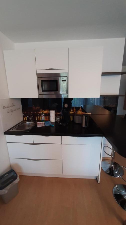 Appartements Am Schillergarten 德累斯顿 外观 照片
