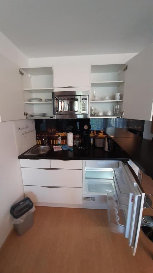 Appartements Am Schillergarten 德累斯顿 外观 照片
