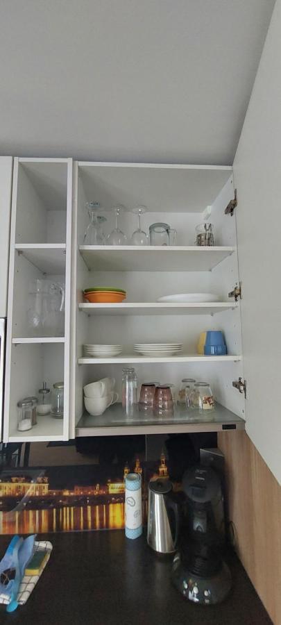 Appartements Am Schillergarten 德累斯顿 外观 照片