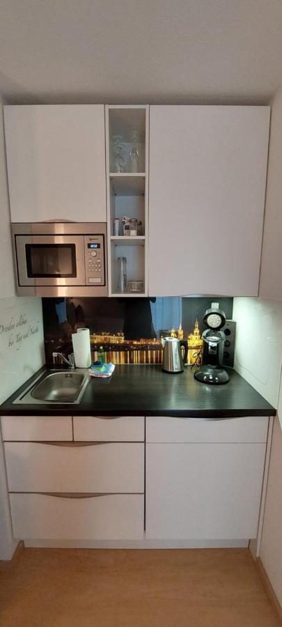 Appartements Am Schillergarten 德累斯顿 外观 照片