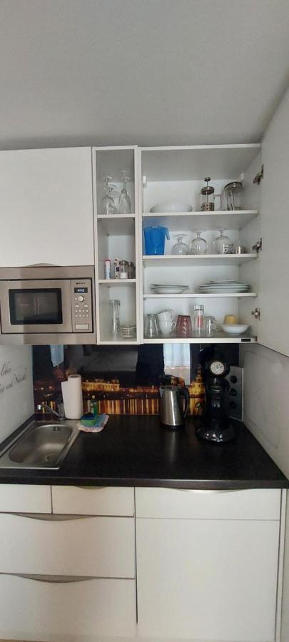 Appartements Am Schillergarten 德累斯顿 外观 照片